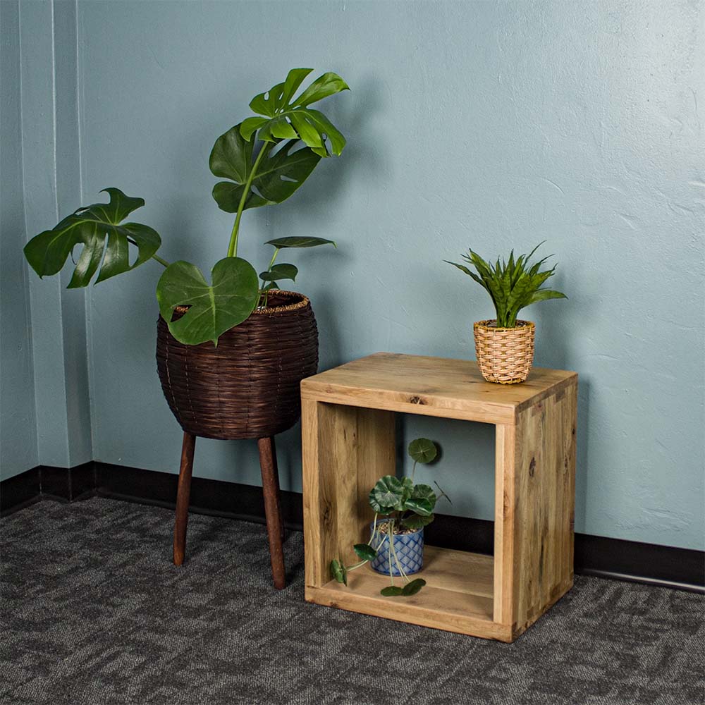 The front of the Vancouver Value Oak Cube. There is a potted plant inside and another on top. There is a free standing potted plant next to the cube.